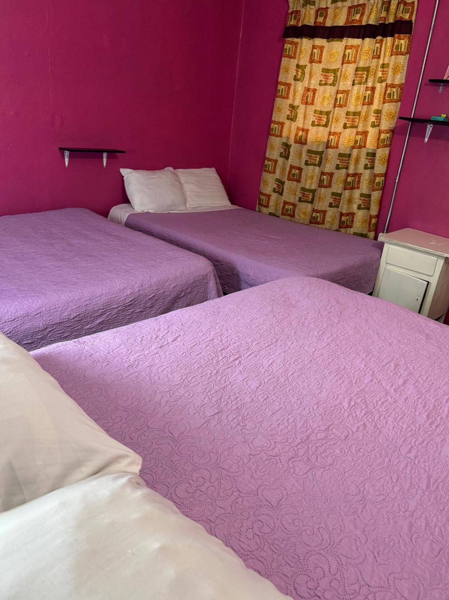 Alo Guest house Mexico City